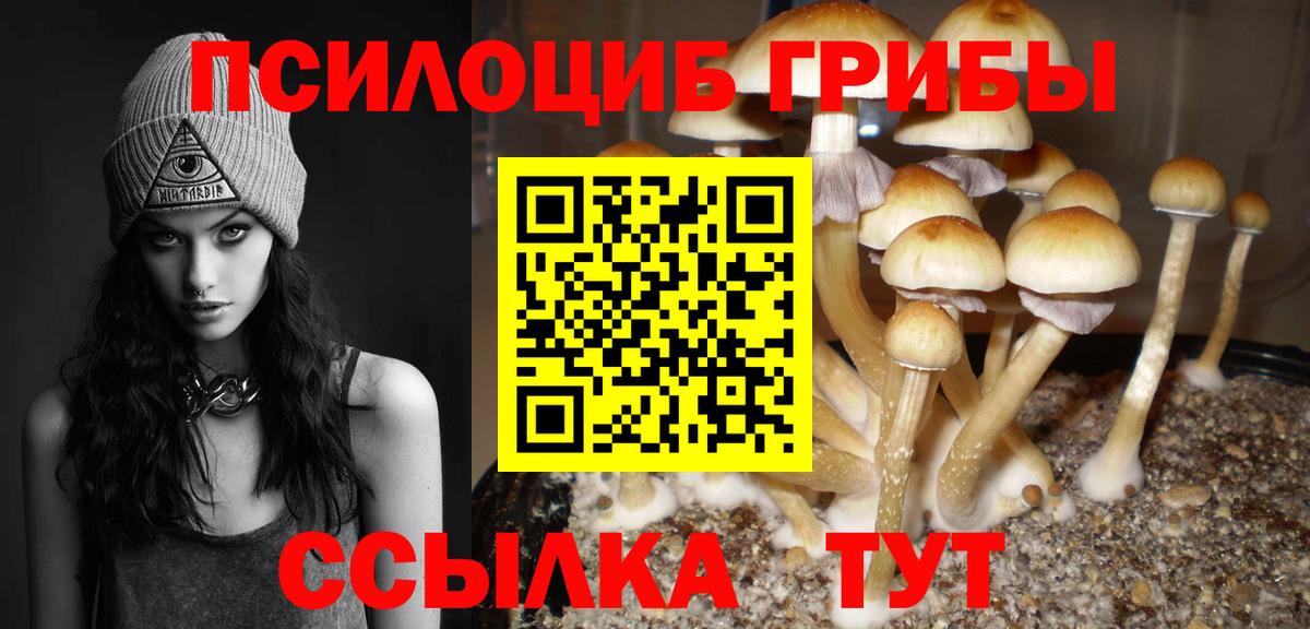 Черняховск  Галлюциногенные грибы Psilocybe  Галлюциногенные грибы Magic Shrooms  Вход с VPN 