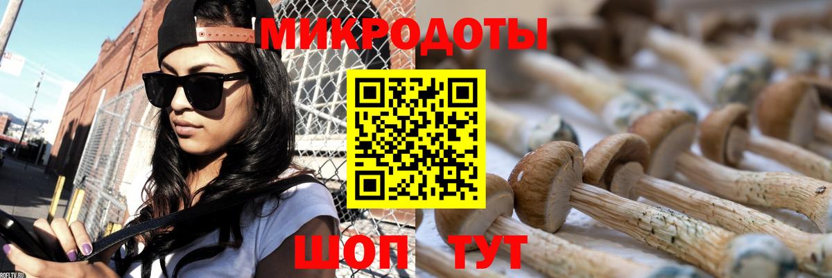 Псилоцибиновые грибы MAGIC MUSHROOMS Черняховск